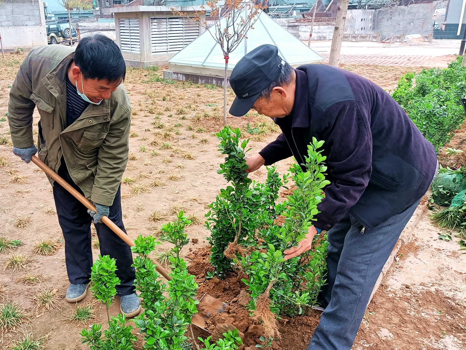 “绿色呼吁”——裕康物业植树活动